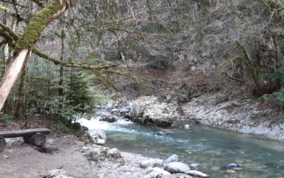 Sentier du Loup à Aigle (VD)