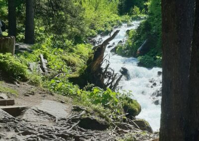 Bisse du petit ruisseau Val d'Arpette Champex