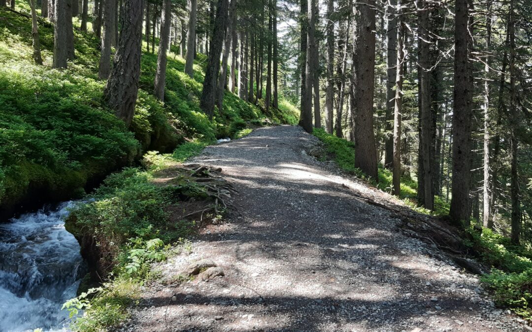 Bisse du petit ruisseau Champex