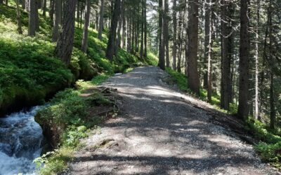 Bisse du Petit ruisseau à Champex (VS)