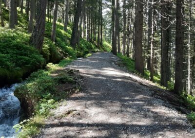 Bisse du petit ruisseau Champex