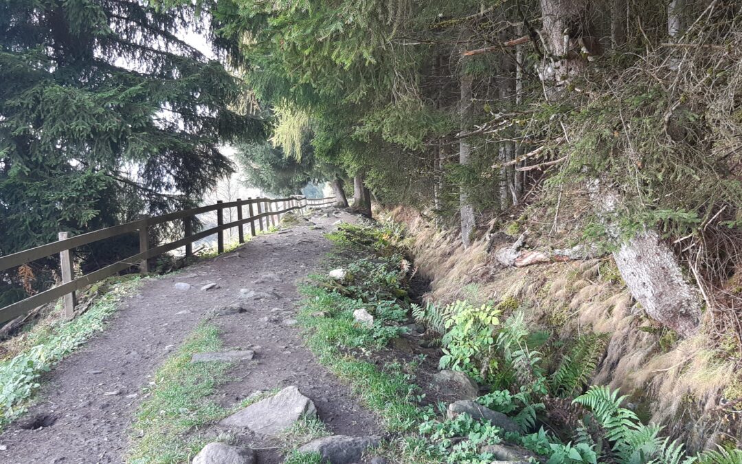 Bisse du Milieu Nendaz