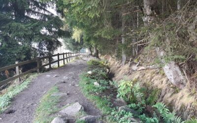 Bisse du Milieu à Nendaz (VS)