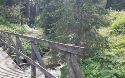 Sentier des Ponts à Morgins (VS)