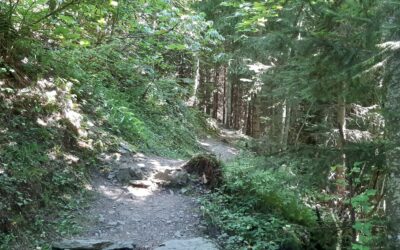 Sentier du Renardeau à Villars (VD)