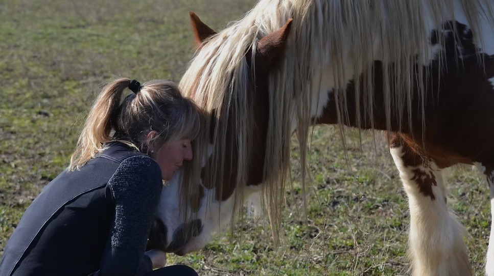 Atelier Sasha Melina Harmonie féminin et masculin avec cheveaux