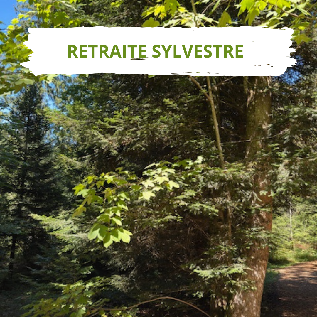 Retraite sylvestre en forêt Nathalie Guiffault