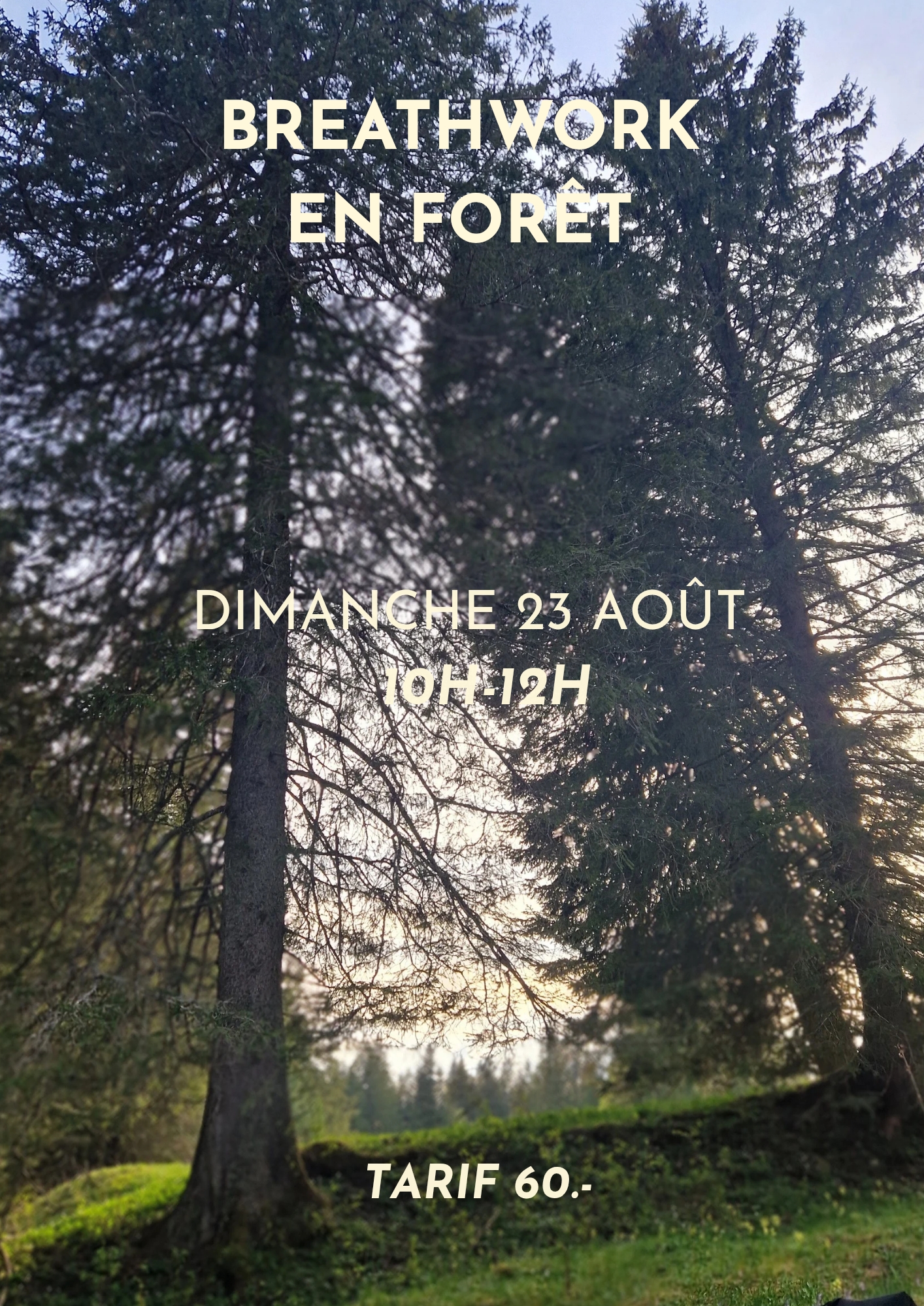 Breathwork en forêt 23.08.2026