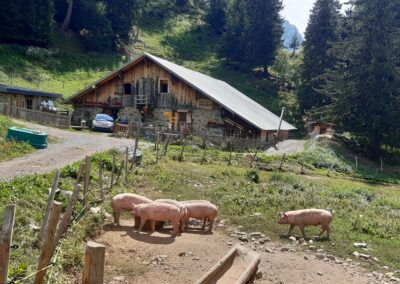 Cabane de Richard sur le parcours jusqu'à la Vare