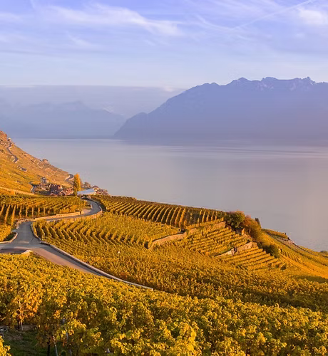 Marche Entre Elles dans le Lavaux octobre 2026
