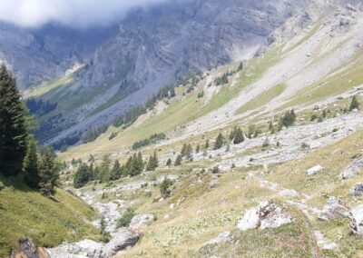 Pâturages entre La Vare et le Col des Essets