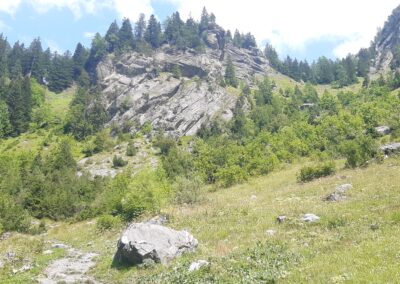 Sentier entre Pont de Nant et la Vare