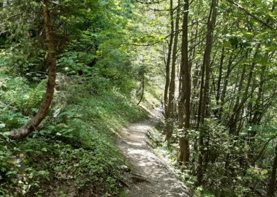 Sentier forestier entre Pont de Nant et La Vare