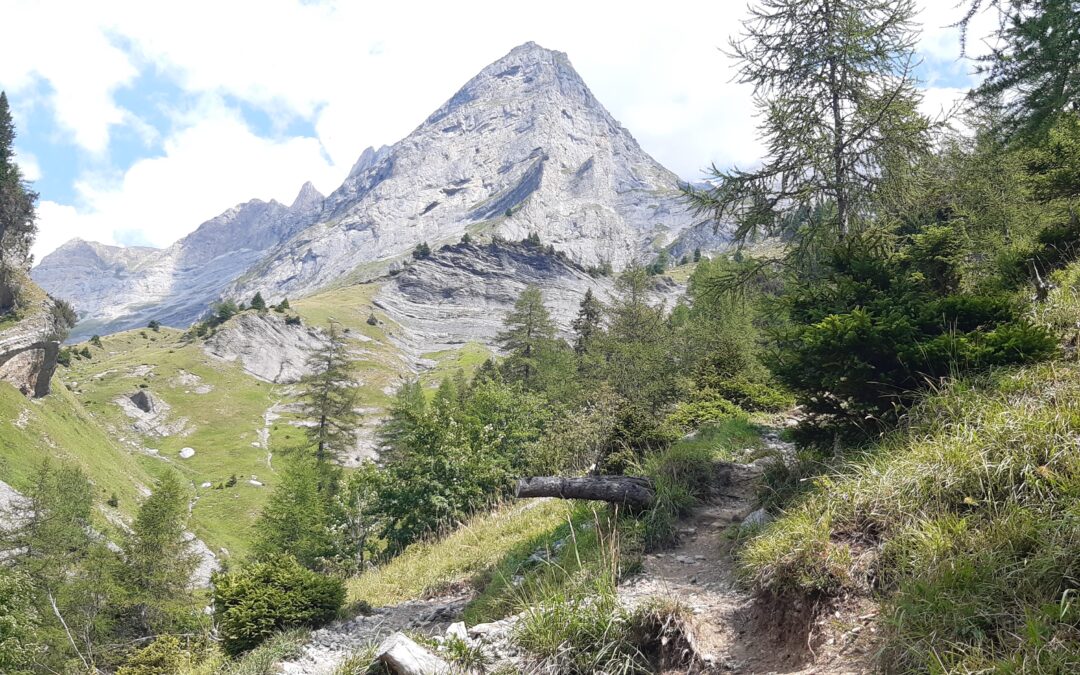 Sentier pédestre entre Pont de Nant et La Vare
