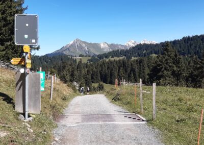 Marche lac des chavonnes