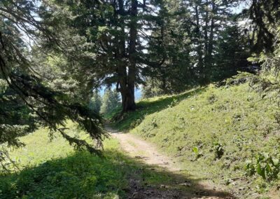 Balade col de a croix - villars-sur-Ollon