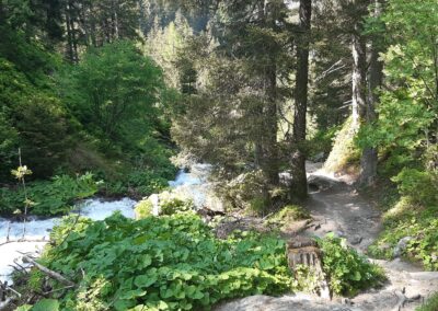 Bisse Petit Ruisseau Champex