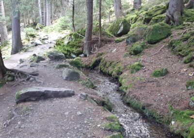 Bisse d'en-bas nendaz