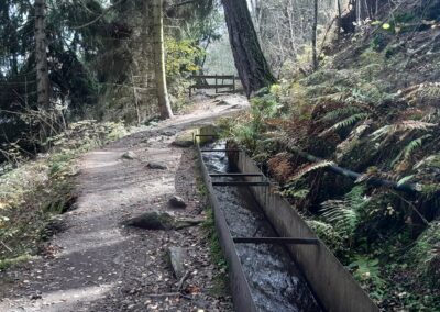 Bisse du Milieu Valais