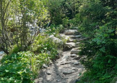 Bisse du Val d'Arpette