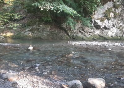 Marche La Grande Eau Aigle