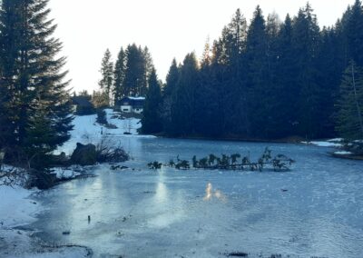 Lac des Joncs les Paccots