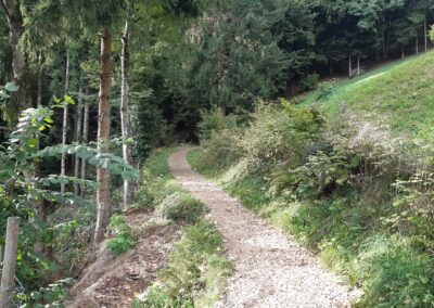 Marche Les Avants sur Montreux
