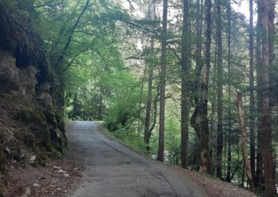 Marche avec enfants chablais