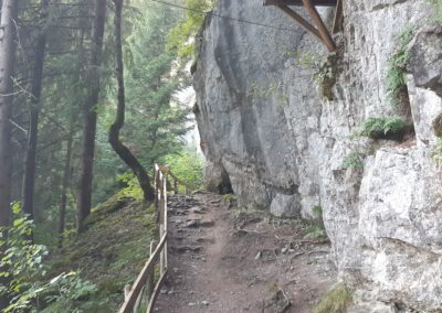 Marche facile Champéry