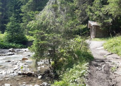 Marche facile Morgins