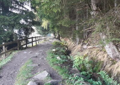 Marche facile Nendaz