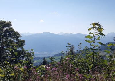 Marche facile Villars