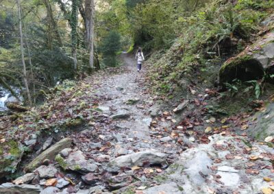 Marche gorges de la Vièze