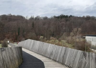 Passerelle TriDel Salaz