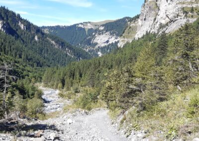 Pont de Nant alpes vaudoises