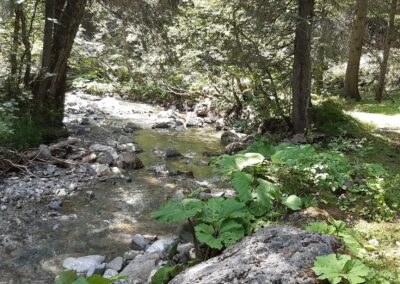 Rando col de la Croix - Villars