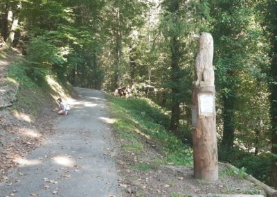 Sentier du loup Aigle