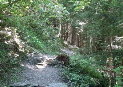 Sentier du renardeau Villars