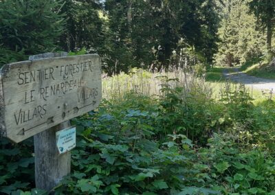 Sentier renardeau Villars
