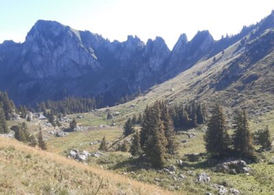 Tour de la dent de jaman