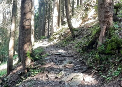 Tour dents du midi Champéry