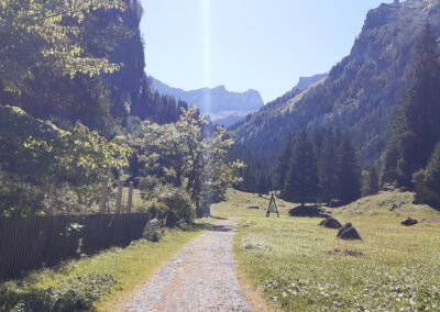 Vallon de Nant Plan sur Bex