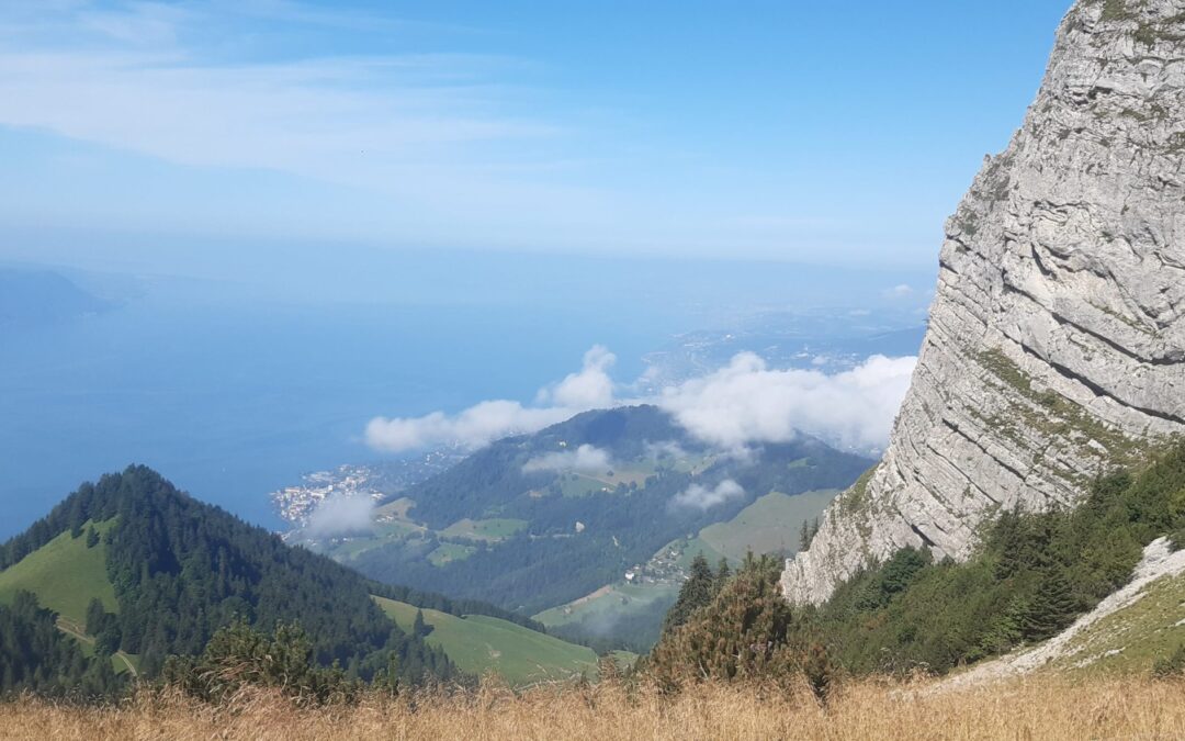 Vue depuis la dent de jaman