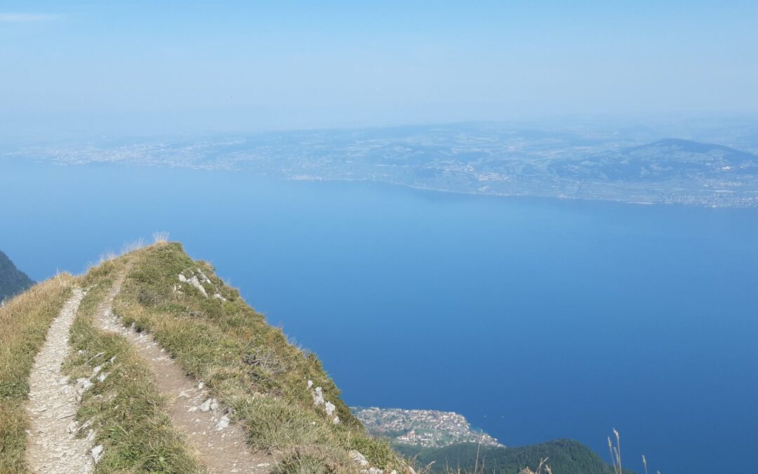 Vue depuis le Grammont