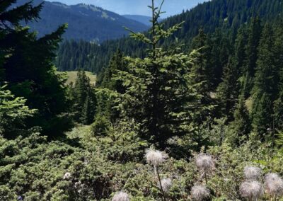 Vue depuis le col de la croix