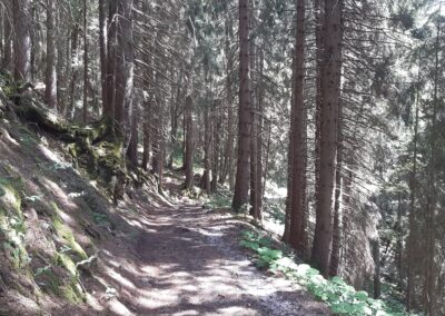Marche Isenau Les Diablerets
