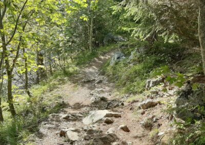 Marche facile les Diablerets