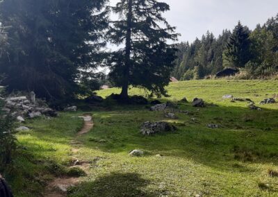 Randonnée cascade du Dard Alpes vaudoises
